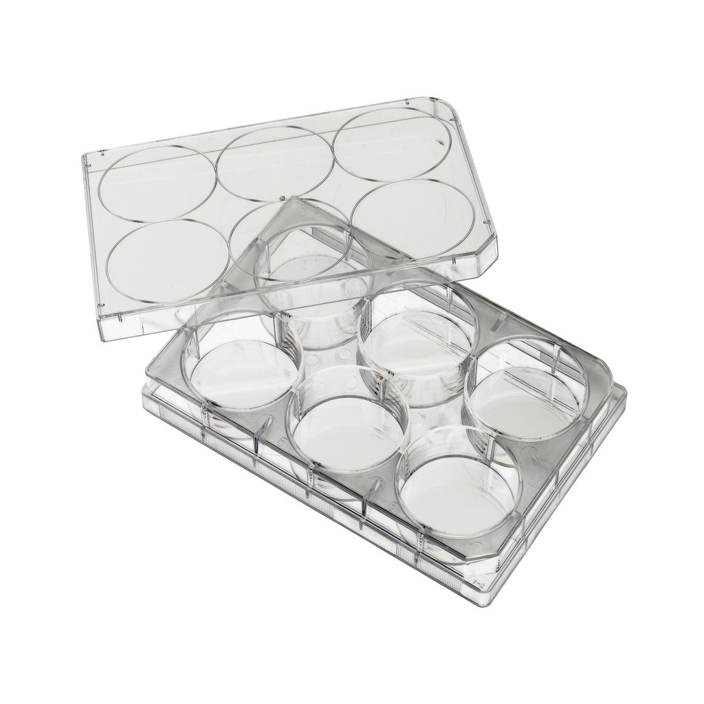 Microplacas 6 pozos CORNING Costar®Tratadas con CellBIND Microplacas 6 pozos CORNING Costar®Tratadas con CellBIND